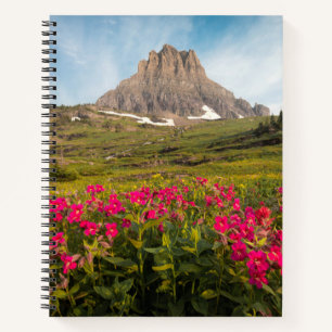 Flowers Montana's Glacier National Park Notebook