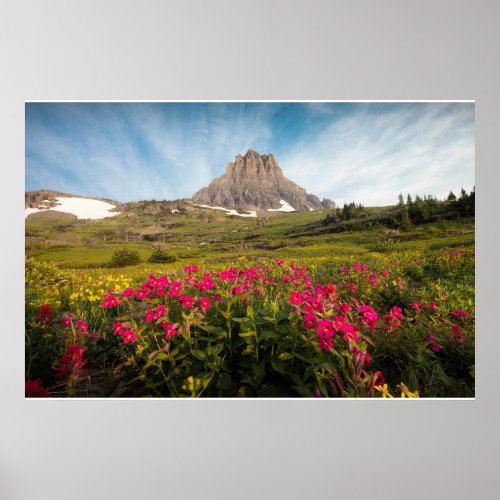 Flowers  Montanas Glacier National Park Poster