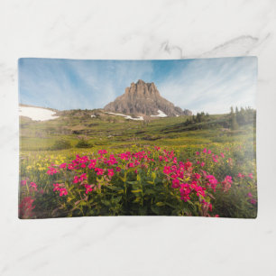 Flowers Montana's Glacier National Park Trinket Tray