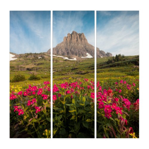 Flowers  Montanas Glacier National Park Triptych