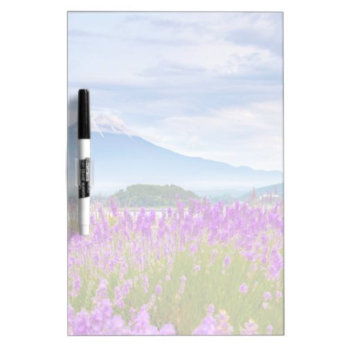 Flowers  Mount Fugi Japan Dry Erase Board