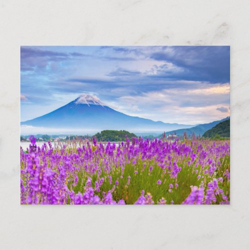 Flowers  Mount Fugi Japan Postcard