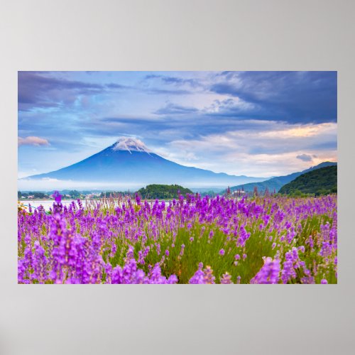 Flowers  Mount Fugi Japan Poster
