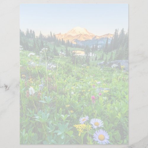 Flowers  Mount Rainier National Park