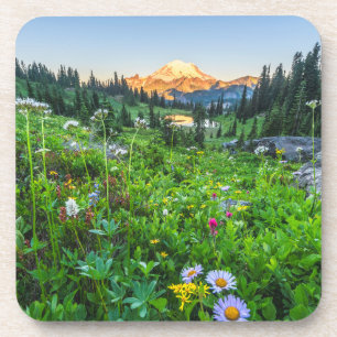 Flowers Mount Rainier National Park Beverage Coaster