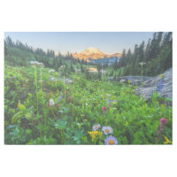 Flowers | Mount Rainier National Park