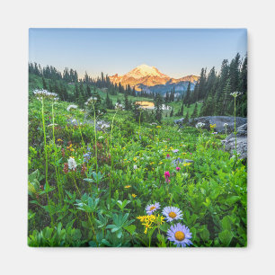 Flowers Mount Rainier National Park Magnet
