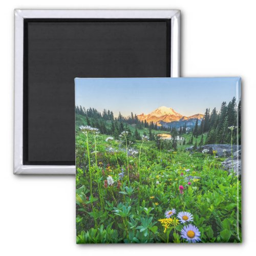 Flowers  Mount Rainier National Park Magnet