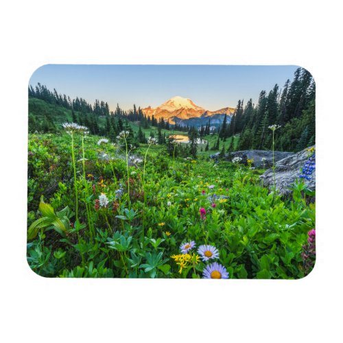Flowers  Mount Rainier National Park Magnet