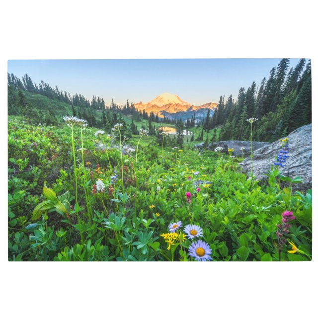 Flowers | Mount Rainier National Park Metal Print (Front)