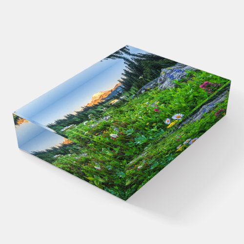 Flowers  Mount Rainier National Park Paperweight