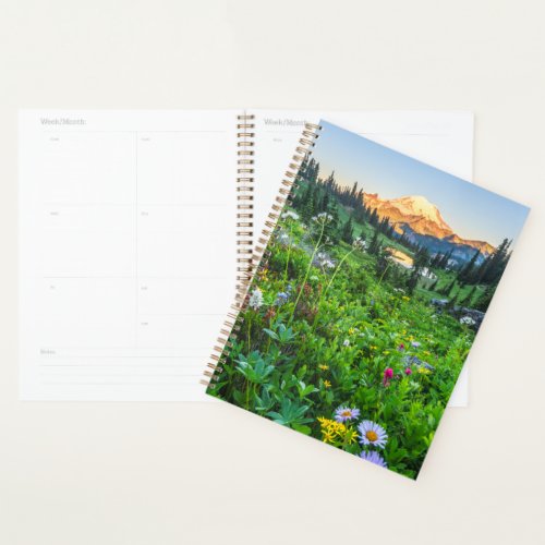 Flowers  Mount Rainier National Park Planner
