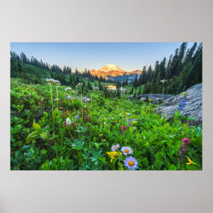Flowers Mount Rainier National Park Poster