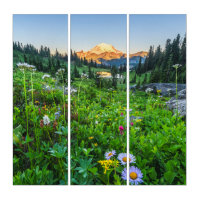 Flowers | Mount Rainier National Park