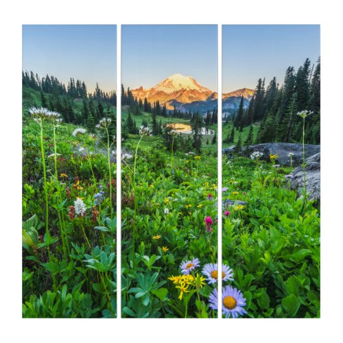 Flowers  Mount Rainier National Park Triptych