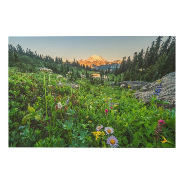 Flowers | Mount Rainier National Park Wood Wall Art (Front)