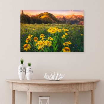 Flowers | Mountain Meadow Crested Butte Colorado Canvas Print by intothewild at Zazzle