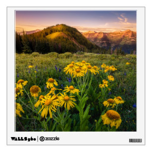 Flowers Mountain Meadow Crested Butte Colorado Wall Decal