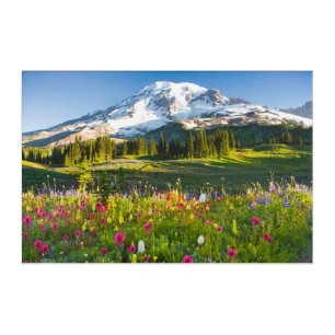 Flowers   Mt. Rainier Wildflowers Acrylic Print