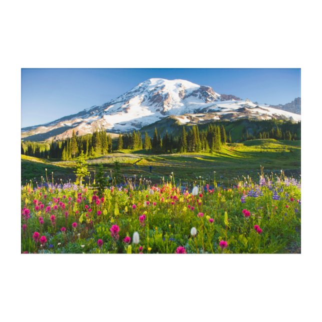 Flowers | Mt. Rainier Wildflowers Acrylic Print (Front)