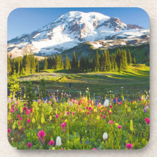 Flowers Mt. Rainier Wildflowers Beverage Coaster