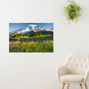 Flowers   Mt. Rainier Wildflowers Foam Board