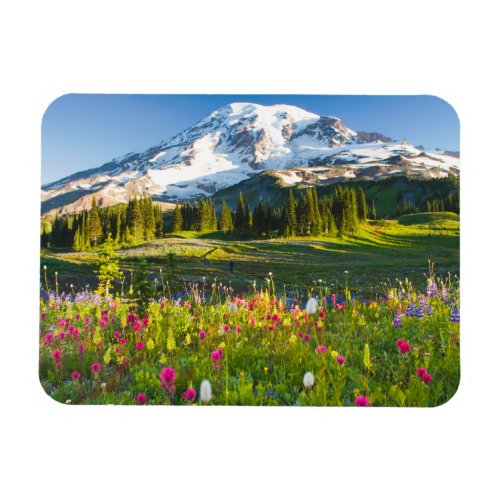 Flowers  Mt Rainier Wildflowers Magnet