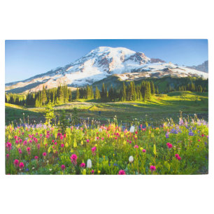 Flowers Mt. Rainier Wildflowers Metal Print