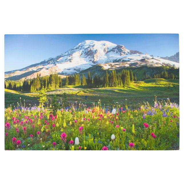 Flowers | Mt. Rainier Wildflowers Metal Print (Front)