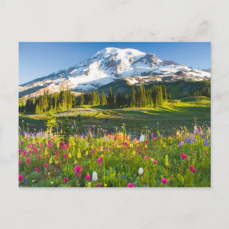 Flowers | Mt. Rainier Wildflowers Postcard