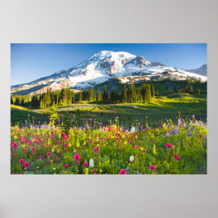 Flowers Mt. Rainier Wildflowers Poster