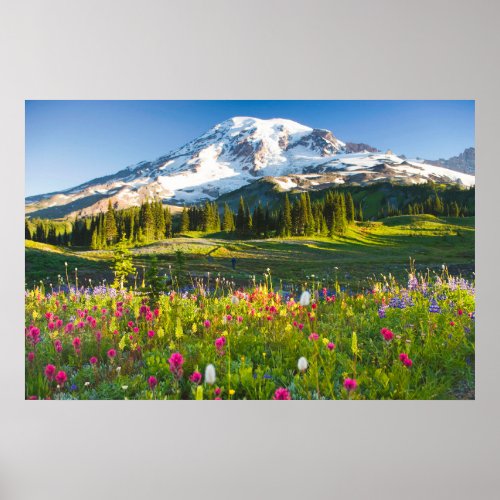 Flowers  Mt Rainier Wildflowers Poster