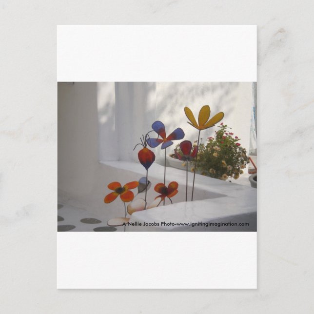 Flowers-Mykonos, Greece Postcard (Front)