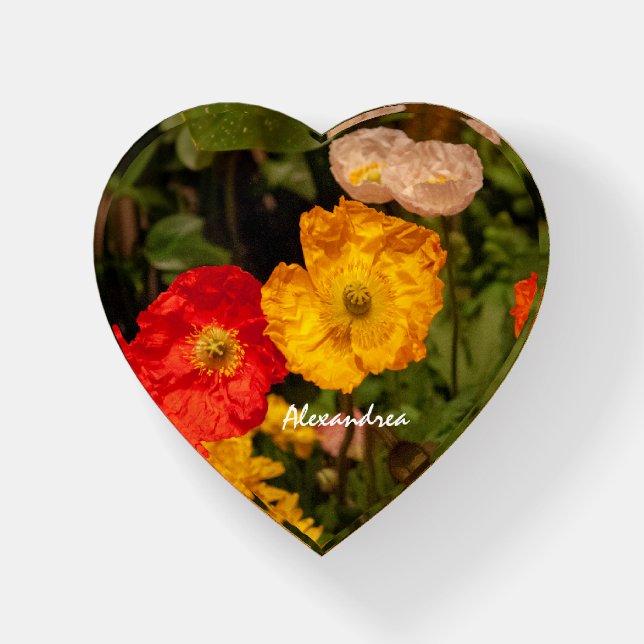 Flowers Nature Floral Watercolor Garden Custom Paperweight (Front)
