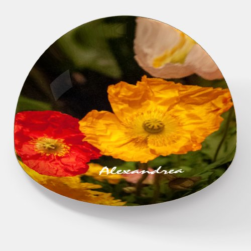 Flowers Nature Floral Watercolor Garden Custom Paperweight