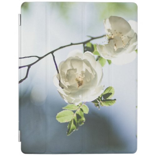 flowers nature iPad smart cover