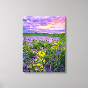 Flowers North Dakota Red River Valley Canvas Print