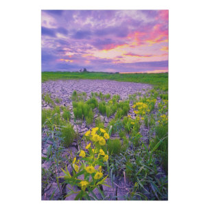 Flowers   North Dakota Red River Valley Faux Canvas Print