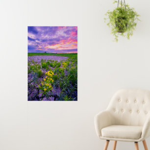 Flowers North Dakota Red River Valley Foam Board