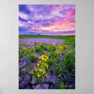 Flowers North Dakota Red River Valley Poster