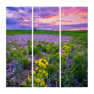 Flowers North Dakota Red River Valley Triptych