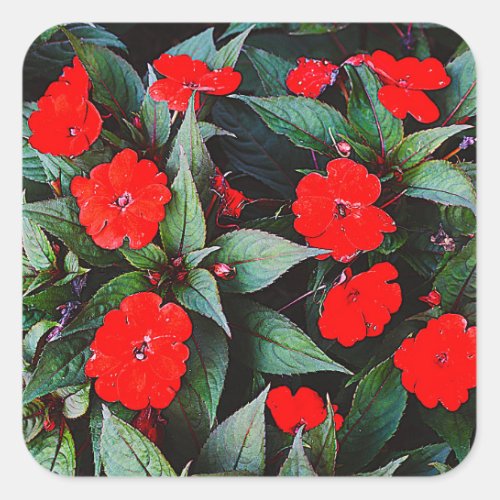 Flowers of Beauty in Red Square Sticker