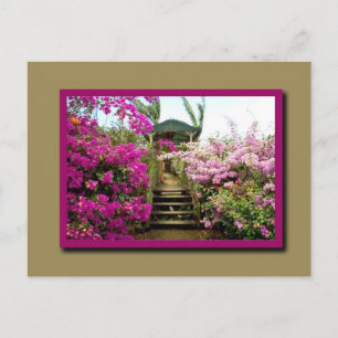 Flowers of Costa Rica 01 Postcard