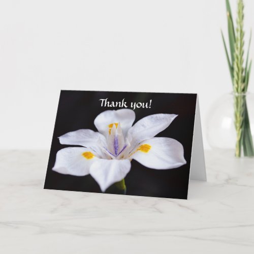 Flowers of Faith Iris Flower Thank You Card