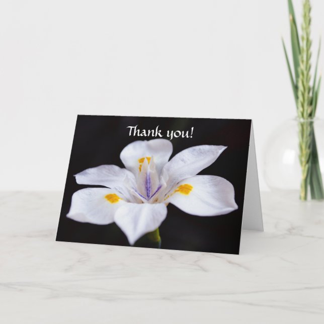 Flowers of Faith Iris Flower Thank You Card (Front)