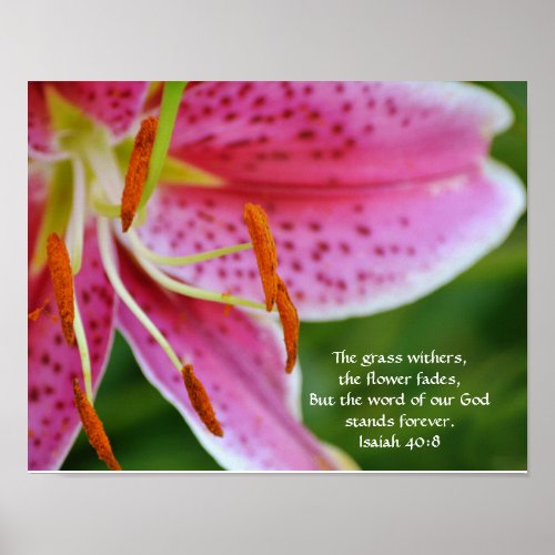 Flowers of Faith Isaiah 408 Art Poster