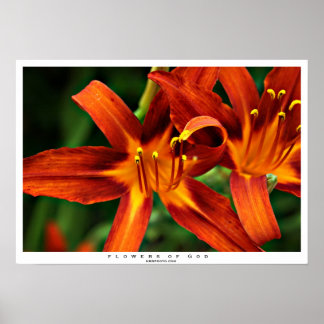 Flowers of God Poster