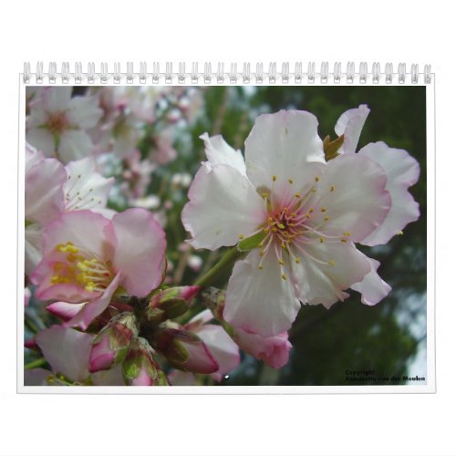 Flowers of Israel Calendar