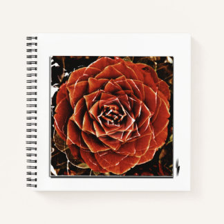 Flowers of Life Notebook