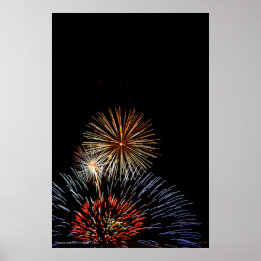 Flowers of Light Print